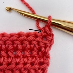 Learn The Linked Half Double Crochet Stitch Photo Tutorial 