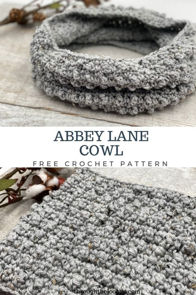 Abbey Lane Cowl Free Crochet Pattern 