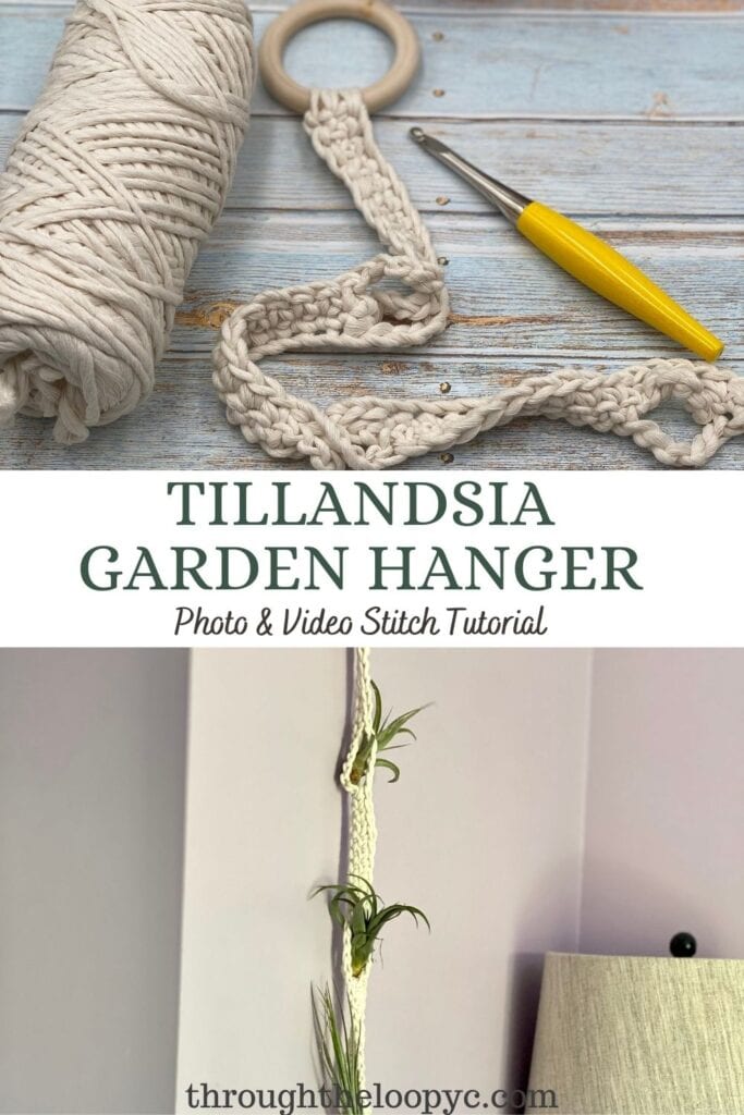 Tillandsia Garden Hanger. Air Plant Holder Crochet Pattern Pin 