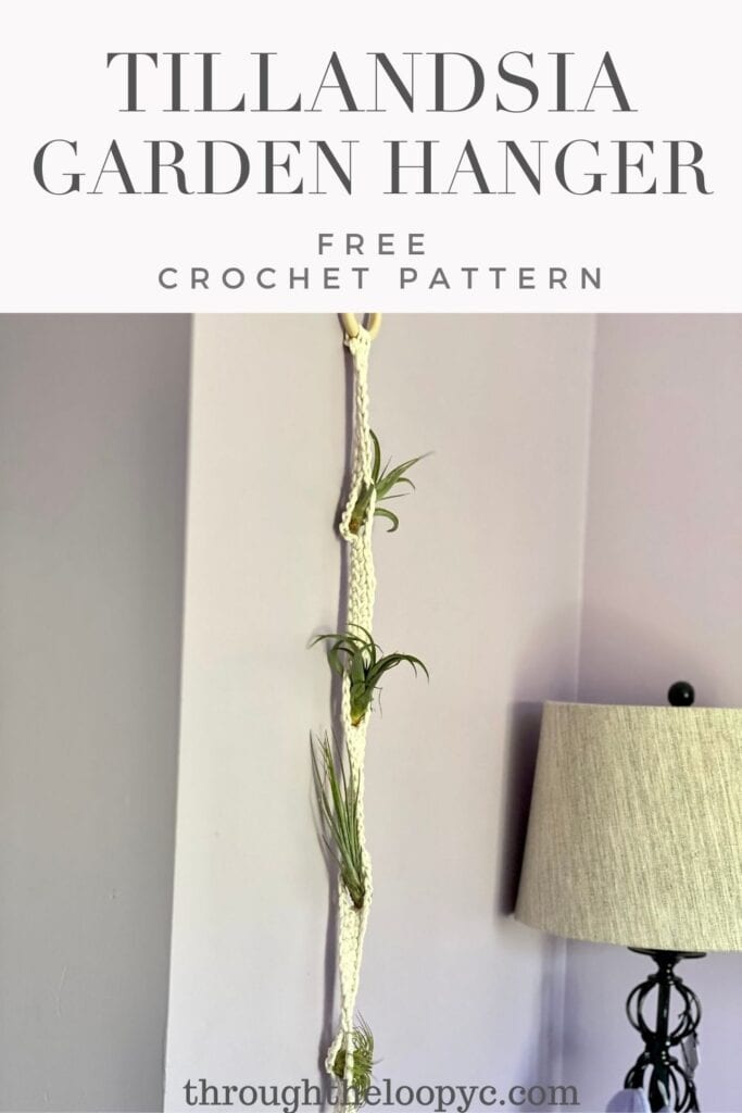 Tillandsia Garden Hanger. Air Plant Hanger Crochet Pattern 