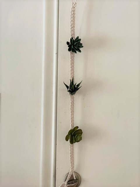 Tillandsia Garden Hanger. Air Plant Holder Crochet Pattern Tester photo