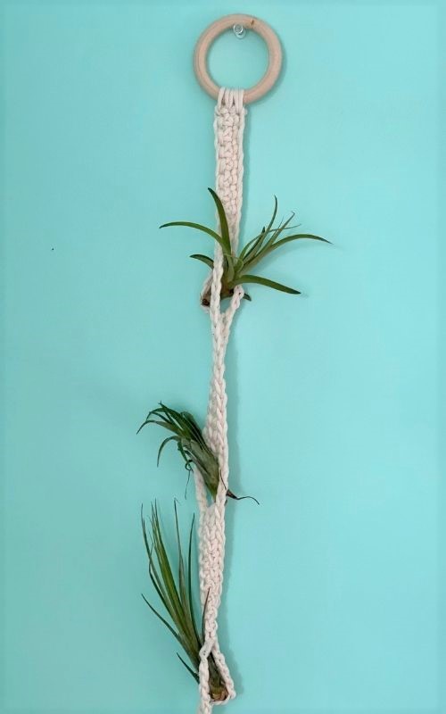 Tillandsia Garden Hanger. Air Plant Holder Crochet Pattern 