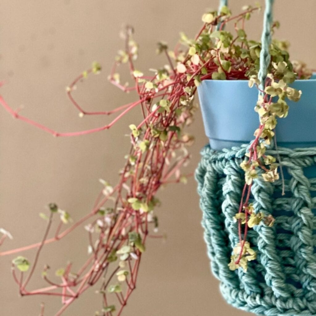 Eryn Plant Hanger Free Crochet Pattern 