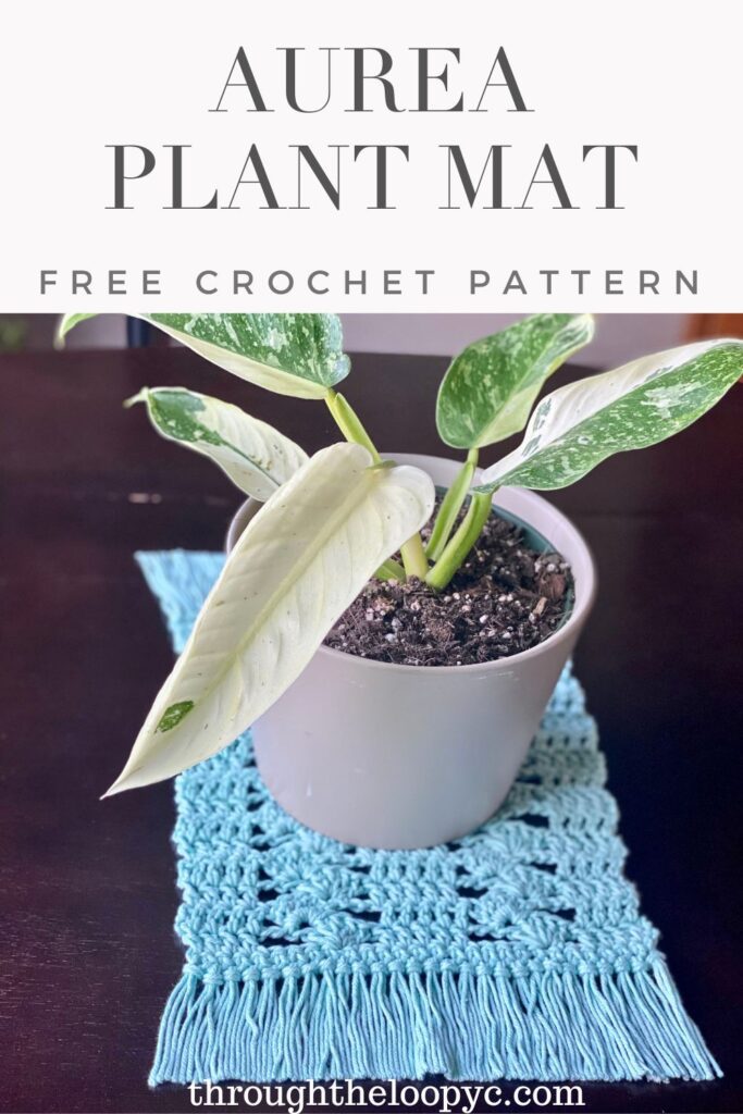 Crochet Plant Mat Coaster Free Pattern 