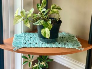 Crochet plant mat free pattern