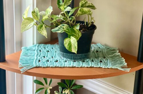 Crochet plant mat free pattern